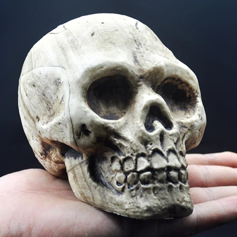 Skull Decoration Plastic Fake Skull Model Pendant Statue Sculpture Zombie Party